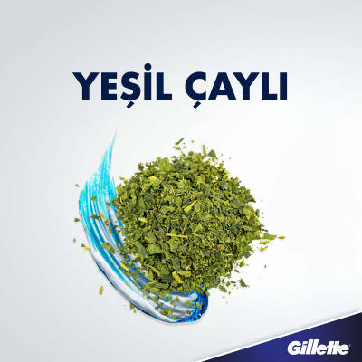 Gillette Series Jel 200Ml Canlandırıcı - 8