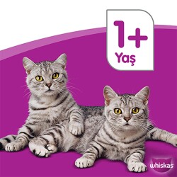 Whiskas Etli Çeşitleri 4'Lü 340 Gr - 4