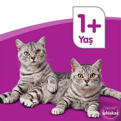 Whiskas Etli Çeşitleri 4'Lü 340 Gr - 4