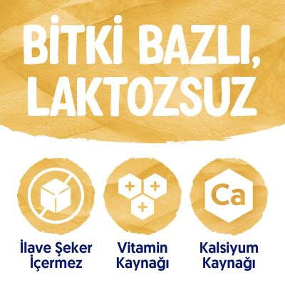 Alpro Yulaf & Badem İçeceği 2X1 Lt - 7