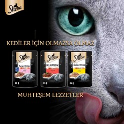 Sheba Delikatesse Gravy Soslu Sığır Etli Yaş Mama 85G - 3