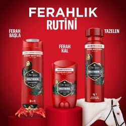 Old Spice Deo Stıck Ap Wolfthorn 50Ml - 11