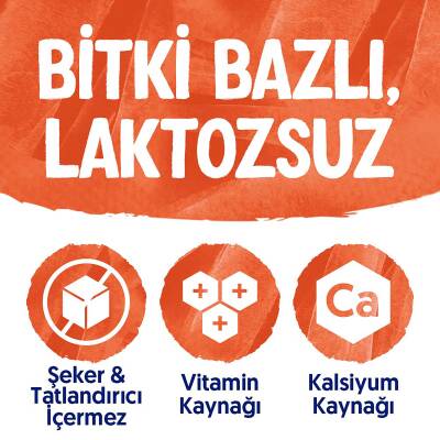 Alpro Şekersiz Hindistan Cevizi Sütü 1 L - 3