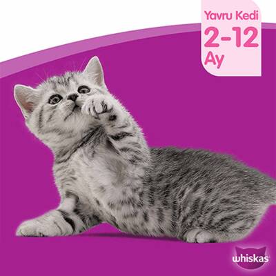 Whiskas Yavru Tavuk 300 Gr - 8