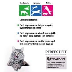 Perfect Fit Active Sığırlı Yetişkin Kedi Maması 1400 G - 5