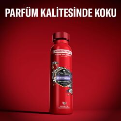 Old Spice Deo Stıck Spray Nıght Panther 150Ml - 5