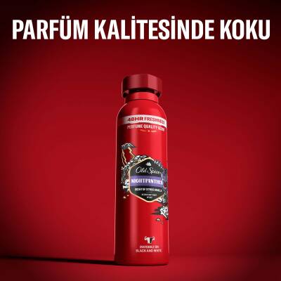 Old Spice Deo Stıck Spray Nıght Panther 150Ml - 5