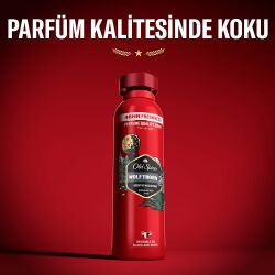 Old Spice Deo Stıck Spray Wolfthorn 150Ml - 5