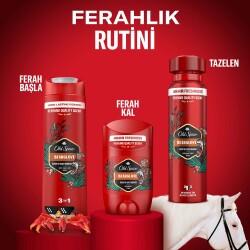 Old Spice Bearglove Erkek Duş Jeli Ve Şampuan 400 Ml - 11