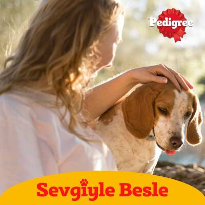 Pedigree Biftekli 400 Gr 24X - 7