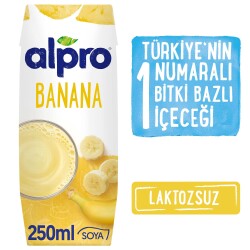 Alpro Muzlu Soya Sütü 250 Ml - 1